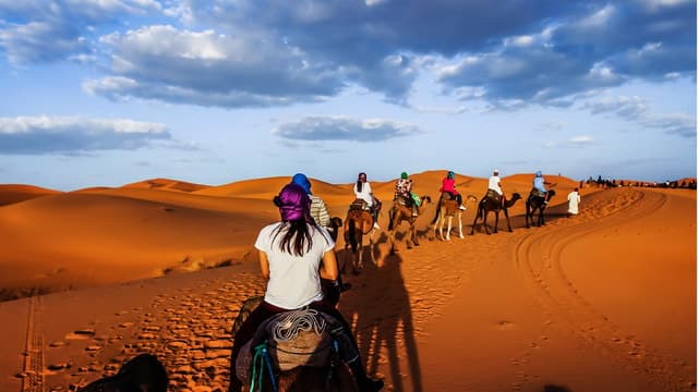 Sahara Dunes & Desert Adventures