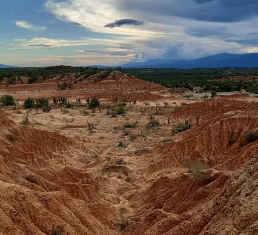 Best Tatacoa Desert Tours from Neiva