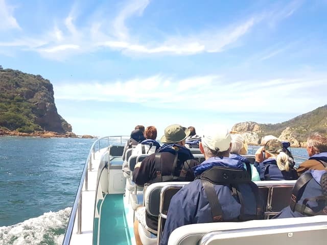 Best Knysna Whale Watching Experiences