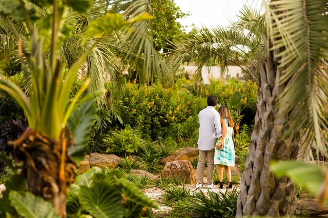 Houston Garden Tour