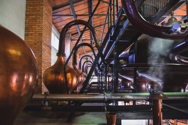 Ultimate Cognac Masterclass: Expert Tasting Experiences