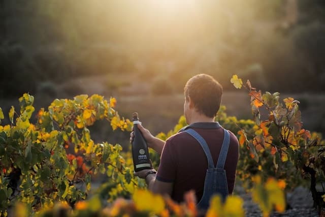Top-Rated Bairrada Wine Tours & Tasting Experiences