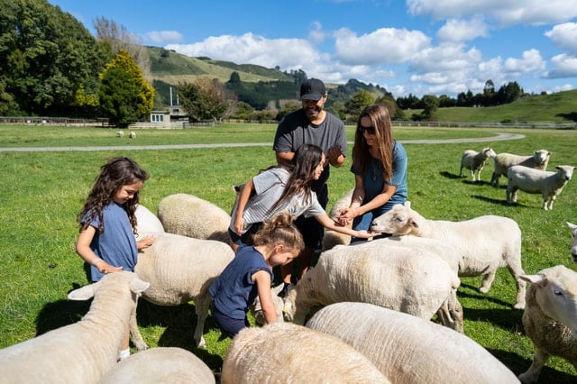 Agrodome Farm Fun