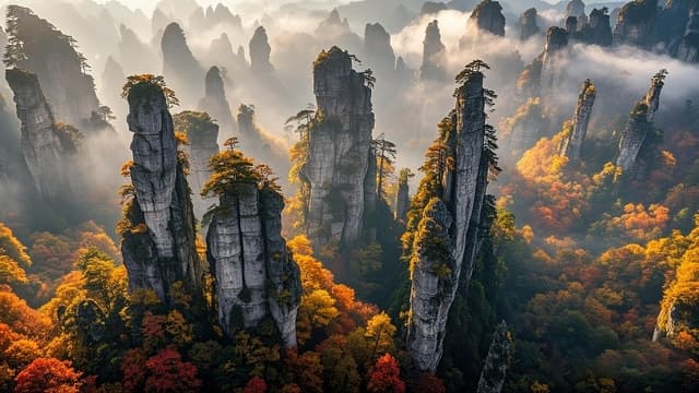 Zhangjiajie Airport Transfer