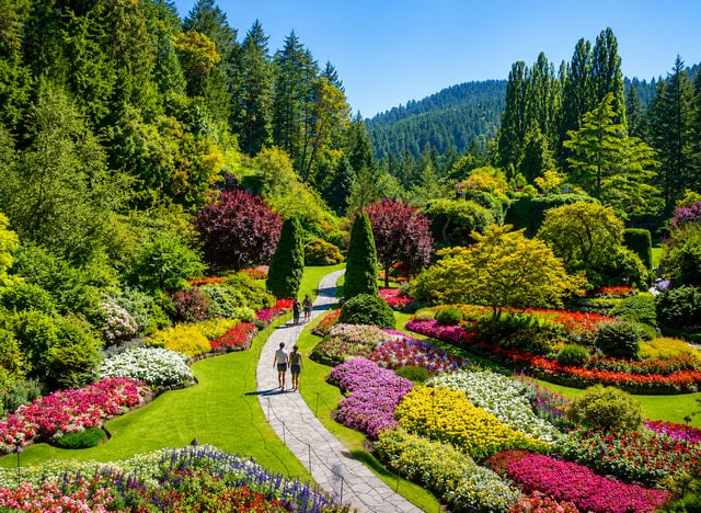 Victoria and Butchart Gardens Tour