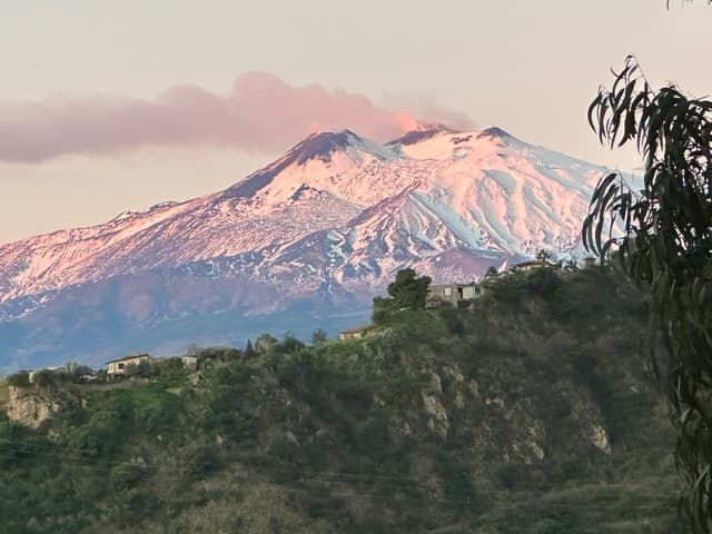 Etna Wine Tastings & Tours in Catania