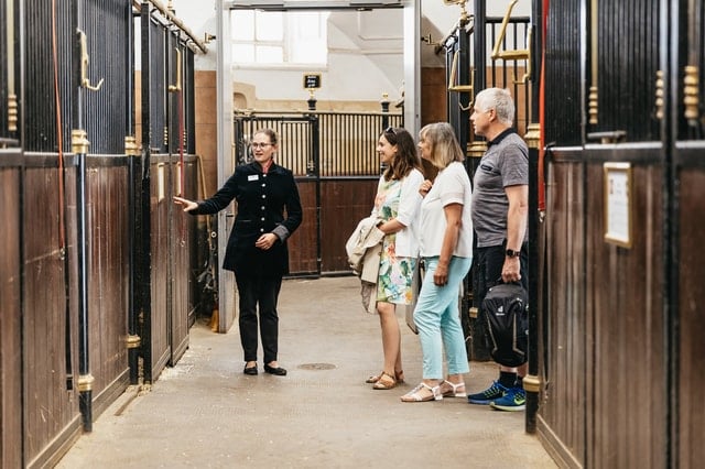 Spanish Riding School Tour