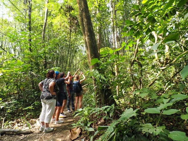 Best Khao Sok Tours from Khao Lak
