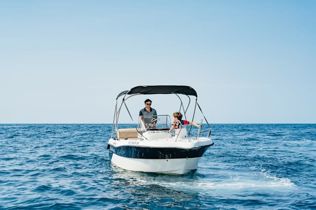 Best Dolphin Watching Tours in Malaga, Spain