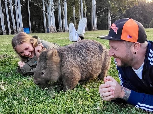 Best Rated Wildlife Tours: Kangaroos & Wombats Near Sydney