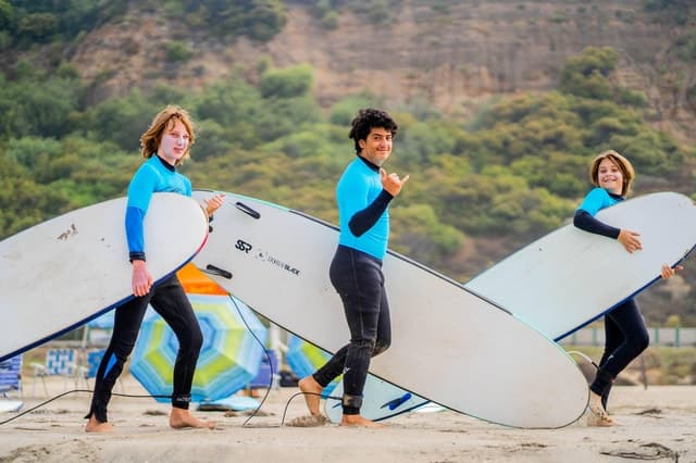 Venice Beach Surf Lesson