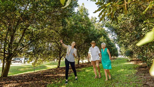 Compare Top Orsta Orchards Tours