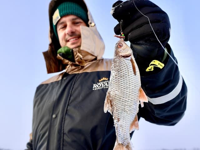 Rovaniemi Ice Fishing