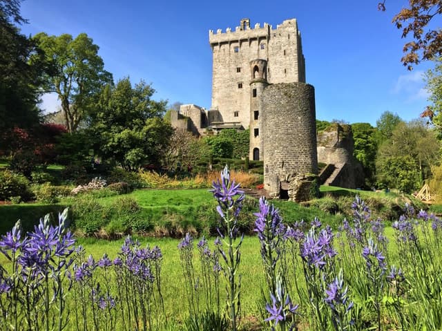 Blarney Castle Cork Tour: Stone & Legends