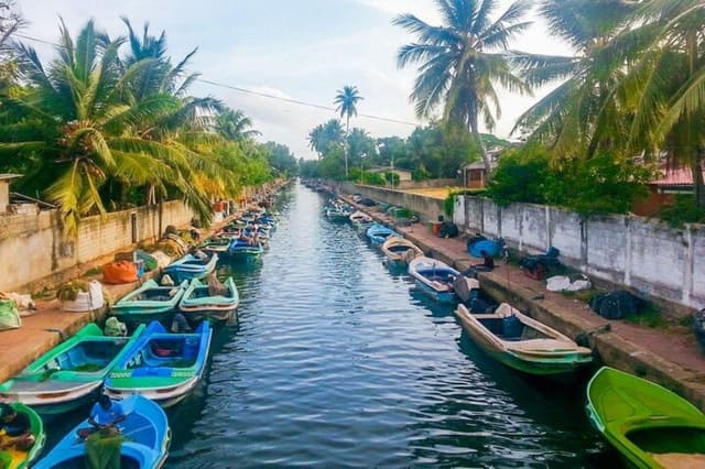 Negombo Dutch Canal Boat Tours & Guides