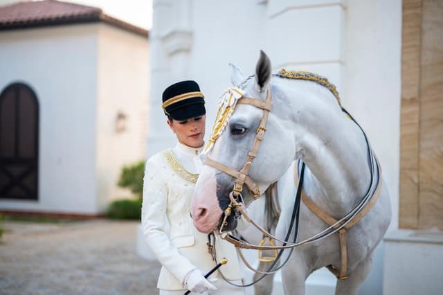 Best Equestrian Shows & Tours