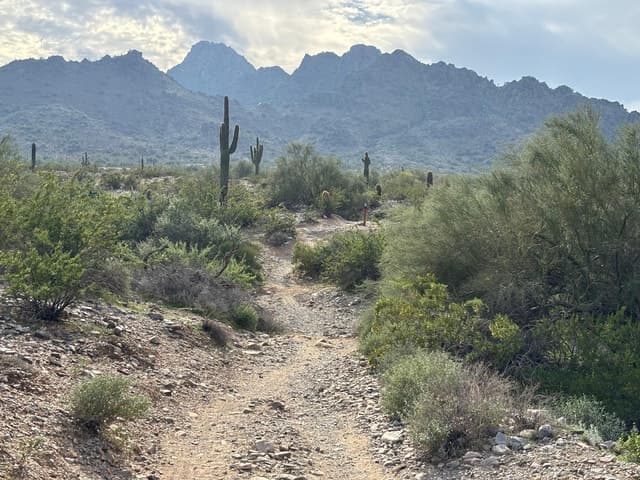 Sonoran Desert Jeep Tour - Phoenix