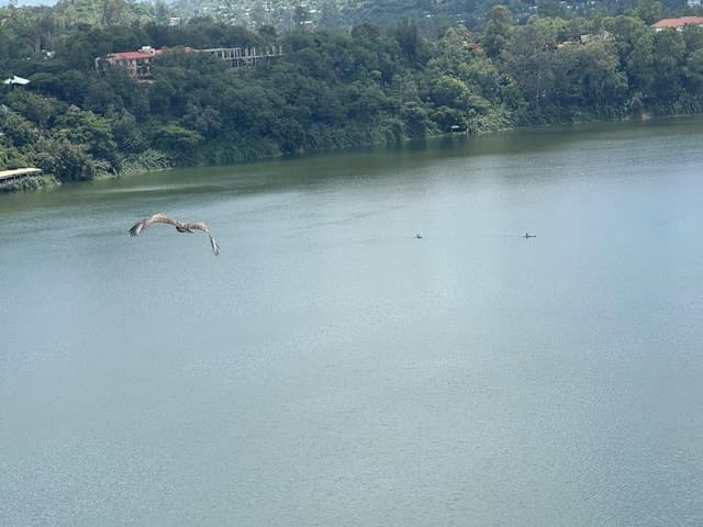 Addis to Lalibela 5-Day Tour