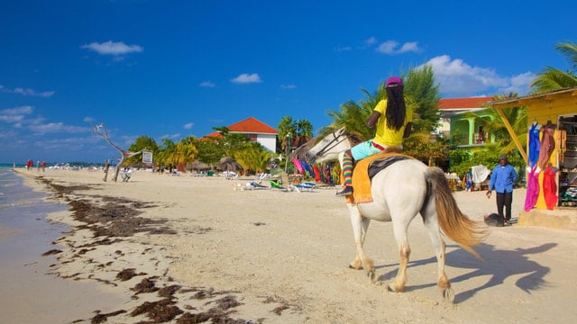 Negril 7 Mile Beach Tour