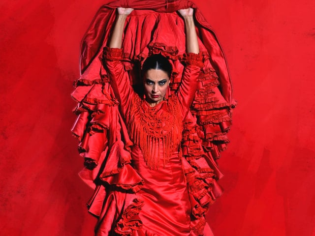 Málaga Flamenco City Tour