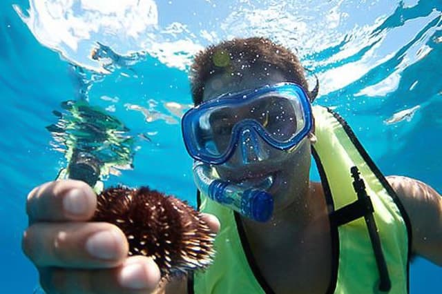 Oahu Snorkeling Adventure