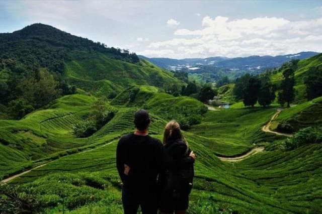 Cameron Highlands Day Tour
