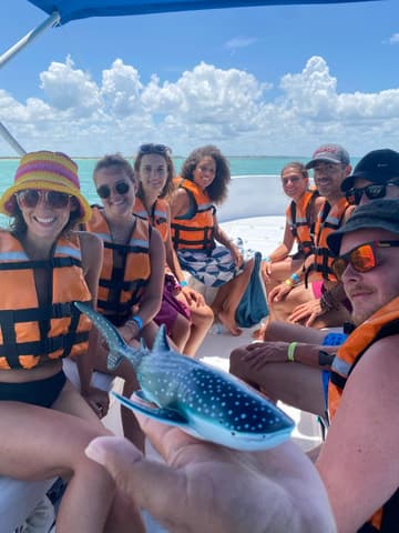 Whale Shark Snorkeling Holbox