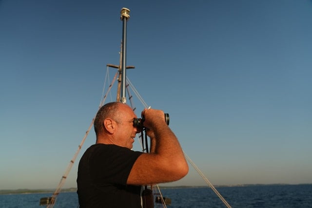 Lim Bay Dolphin Spotting Cruise