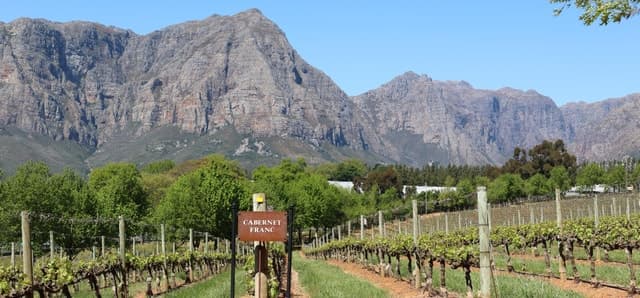 Best Table Mountain & Kirstenbosch Wine Tour in Cape Town