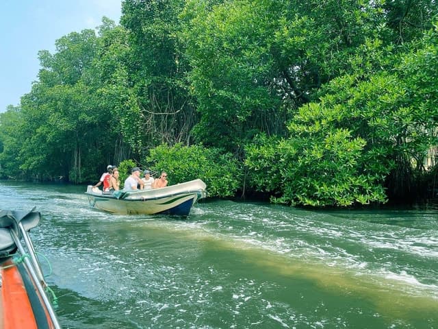 Bentota–Kalutara Day Tour: Coastal Highlights & Culture