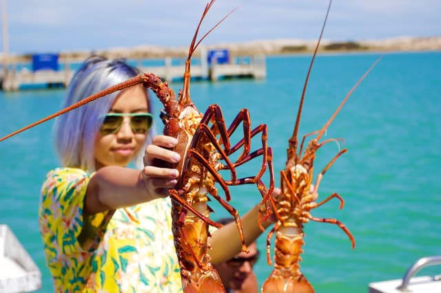Kalbarri Skywalk Tours, Views & Travel Highlights