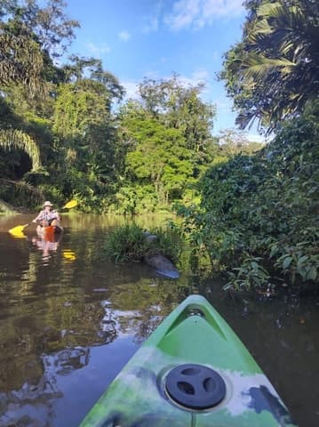 Tortuguero Canoe Tour