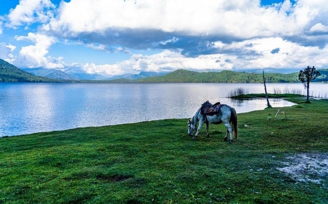 Rara Lake Jeep Tour