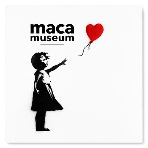 MACA Museum: Interactive Art Tours