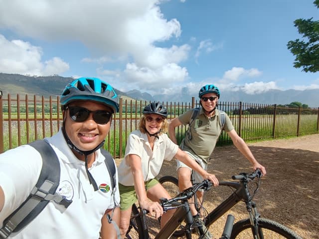 Franschhoek Wine Tram: Wine, Views & Tastings