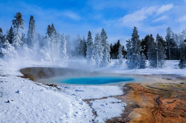 Yellowstone & Grand Teton Tour