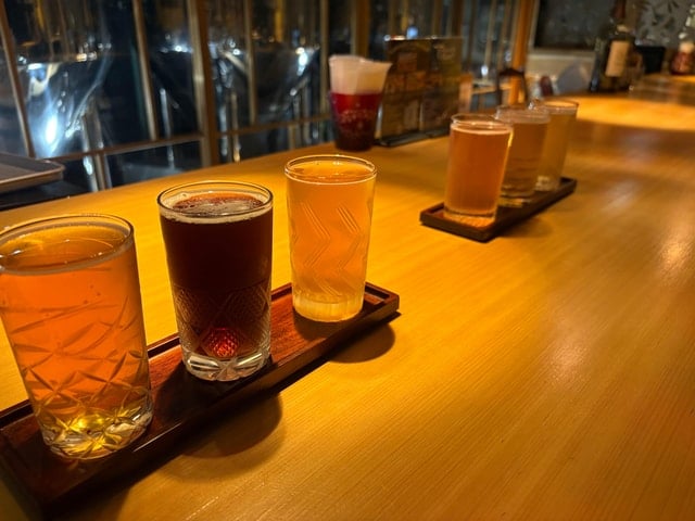 Kanagawa Izakaya Night Tour