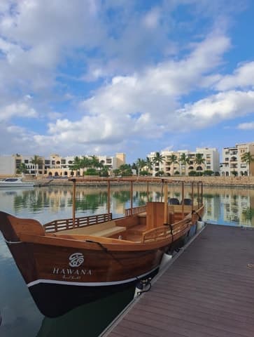 Salalah Dolphin Watching