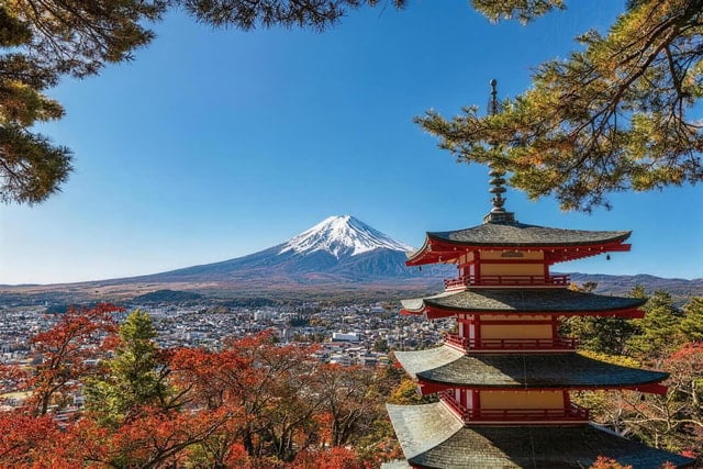 Hakone & Mt. Fuji Escape