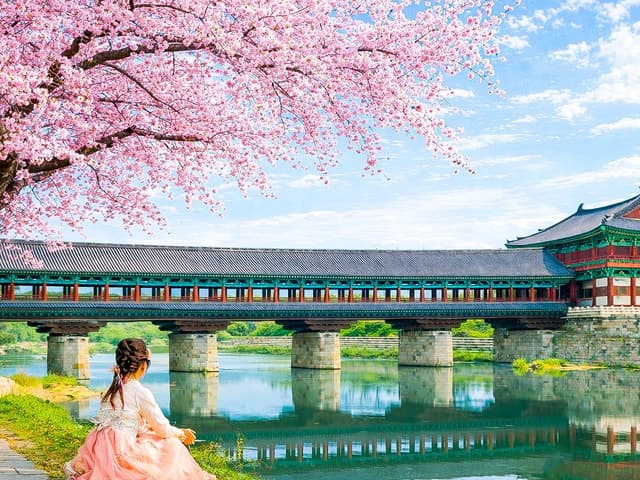 Gyeongju UNESCO Heritage Tour