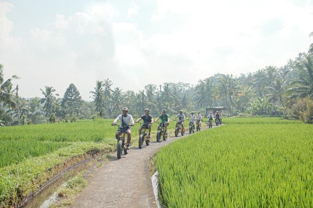 Compare Best E-Bike Tours in Ubud