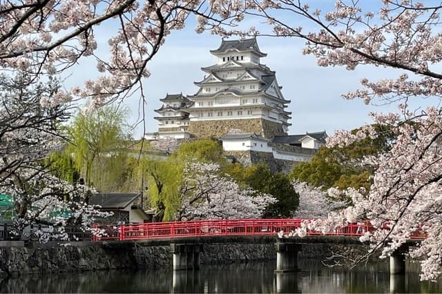 Compare Best Himeji Castle Tours