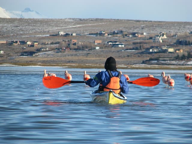 Lake Argentino Cruise