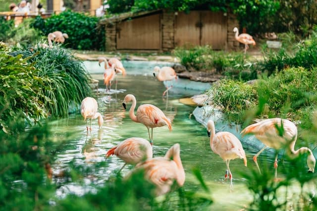 Top Barcelona Zoo Experiences & Wildlife Tours