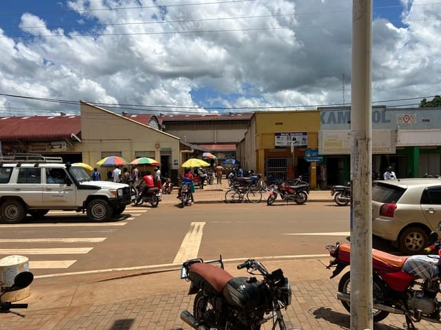 Best Gulu City Walking Tours & Guides