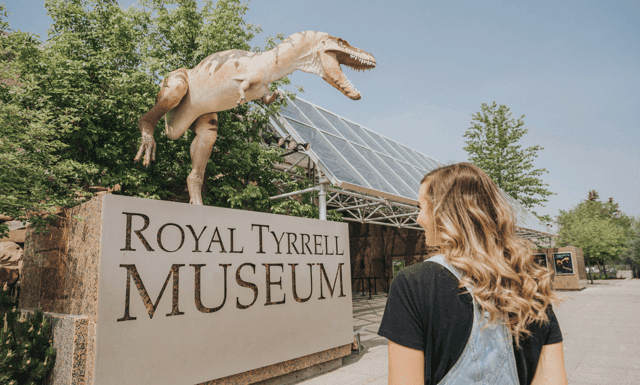 Drumheller Day Tour