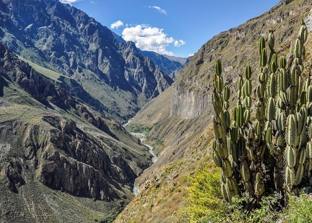 Colca Canyon Tour - Chivay