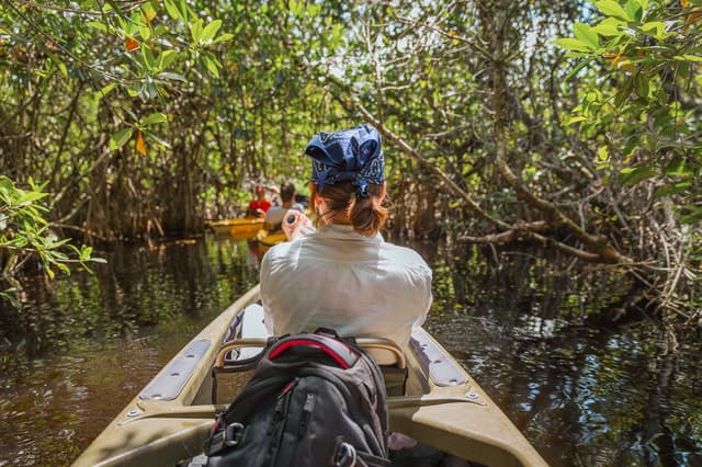 Best Everglades National Park Eco Tours & Wildlife Adventures