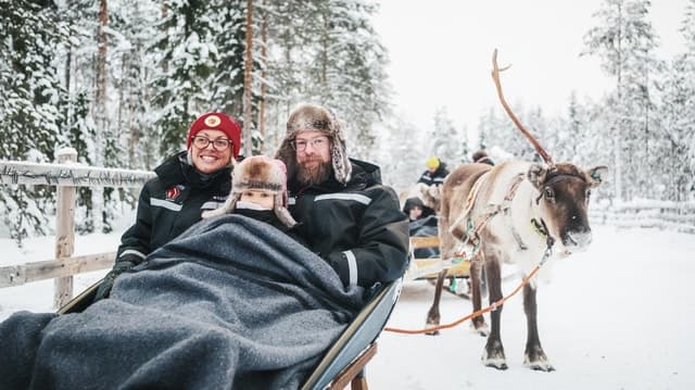 Authentic Reindeer Sleigh Rides: Rovaniemi Arctic Adventure