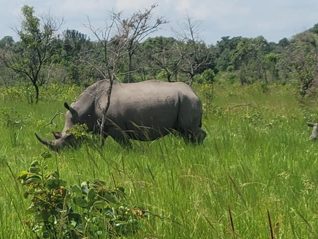 Ziwa Rhino Trekking Adventure